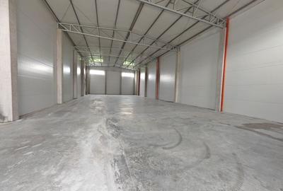 Spatiu depozitare/productie 500 mp, zona Sud - 18