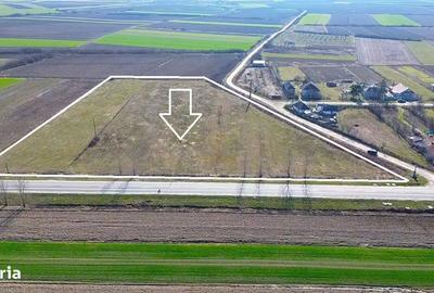 Teren de 14300 mp, în Medieșu Aurit - 2