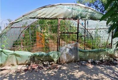 Casa tip parter si teren 1750 mp in zona Transilvaniei - 17