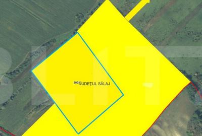 Teren agricol in suprafata de 87000 mp, UAT Salatig - 1