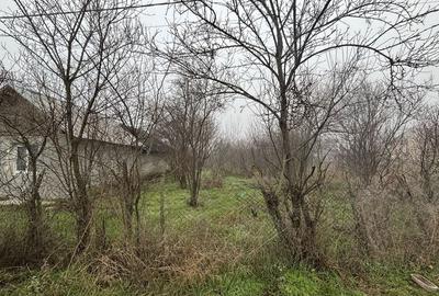 Teren de 2461 mp, în Sârbeni - 2