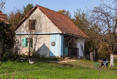 Casă cu 2 camere cu Teren 20000 Mp în Târnova - 6