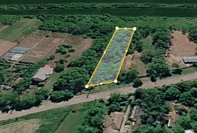 Teren de 900 mp, în Nuci - 1