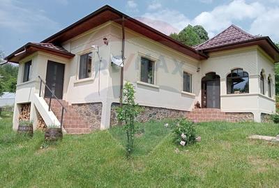 Vanzare casa  4 camere-microferma, cu panouri fotovoltaice