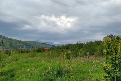 Casă cu 3 camere în Drajna - 8