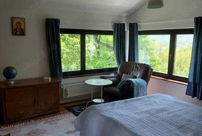 Casa cu peste 1HA pamant in Calimanesti - 4