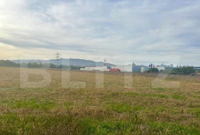 Teren intravilan, 11000mp, zona Carolina Mall - 3