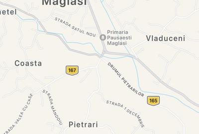 Teren de 8000 mp, în Vlădesti - 3