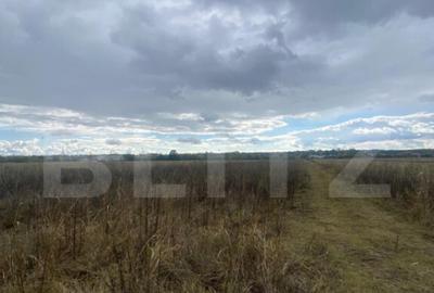 Teren extravilan, 2500 mp, zona Lucieni - 4