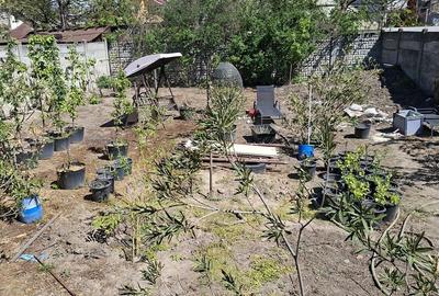 Casă cu 3 camere cu Teren 557 Mp în Brazda lui Novac - 9