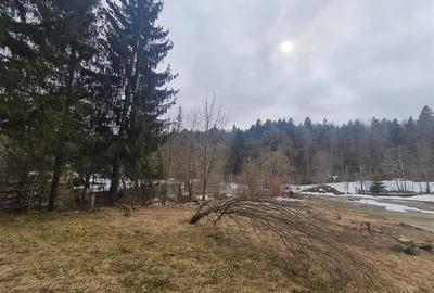 Incadrata de 4.200mp teren, Vila cu potential turistic, in inima Predealului - 26