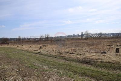 Teren Construcții intravilan de 2900 mp, în Șcheia - 4