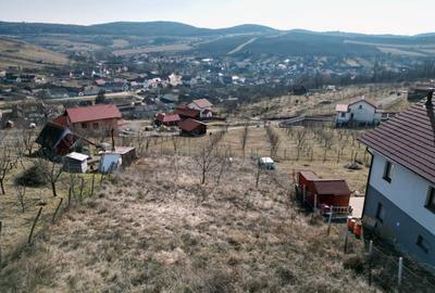 Teren Intravilan 662mp spre vanzare in Hamba ,Sura Mare - 4