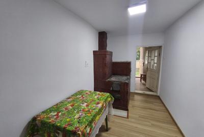 Casă cu 2 camere cu Teren 3000 Mp în Pădureni - 13