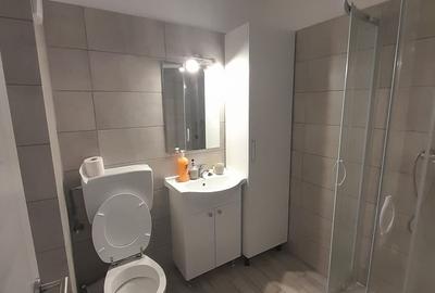 Garsonieră în Berceni - 8