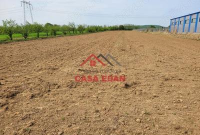 Teren de 2400 mp, în Câmpina - 9