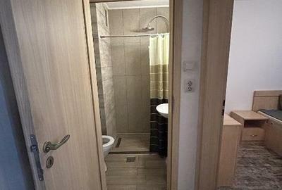 Apartament 2 camere, 45mp, pet-friendly, metrou, Unirii Apartament 2 camere, 45mp, pet-friendly, metrou, Unirii - 6