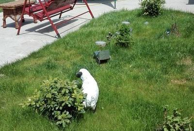 Casă cu 3 camere în Eforie - 3