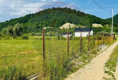 Teren 1,095mp Sighetu Marmatiei / Strada Faget Teren 1,095mp Sighetu Marmatiei / Strada Faget - 2