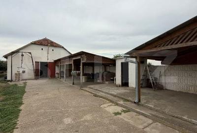 Spațiu comercial, de 7,000 mp, în Șagului - 19