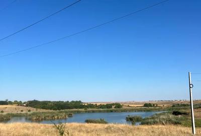 Teren de 900 mp, în Tămădău Mic - 9
