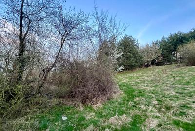 Teren Construcții intravilan de 495 mp, în Poiana Angelescu - 2