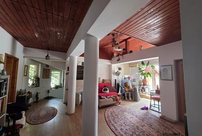 Snagov, Izvorani Vila, la lac - 11