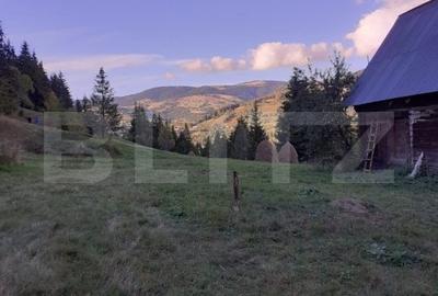 Casa la munte, cu teren 13383 mp, zona Horea - Apuseni - 3