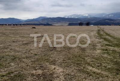 Teren intravilan 15.000 mp Front 47 m DN7 in Talmaciu zona industriala - 2