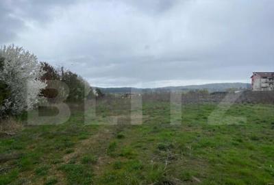 Teren intravilan, acces la autostrada, in Luna langa Campia - 1