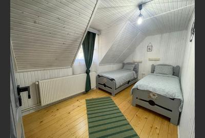 Casa la cheie /vila/pensiune Valiug,Crivaia . - 13