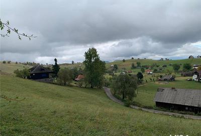 Teren de 5317 mp, în Șirnea - 7