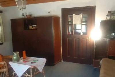 Casă cu 2 camere în Frunzeni - 7