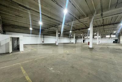 Hala de produc?ie ?i depozitare, 4500 mp Deva - 9