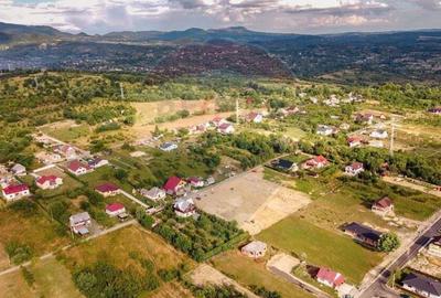 Teren intravilan Baia Sprie / Strada Rozelor - 6