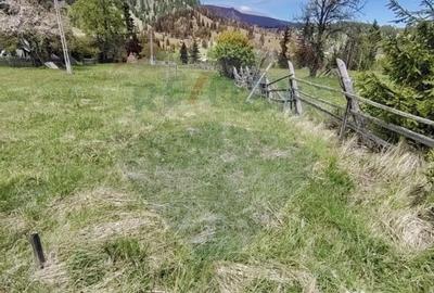 Teren de 2000 mp, în Șaru Dornei