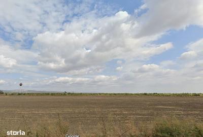 Teren de 36000 mp, în Albești-Paleologu - 1