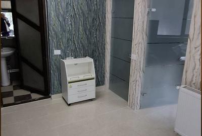 Spațiu comercial, de 60 mp, în Lăpuș - 3