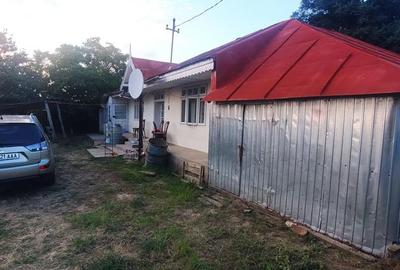 Casă cu 3 camere cu Teren 2500 Mp în Vutcani - 5