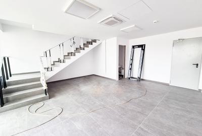 Hale,spatii industriale Albota,Pitesti Arges - 8