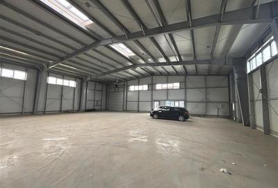 OCAZIE...BLACK FRIDAY...Inchiriere depozit/hala/spatiu industrial Pantelimon - C - 2