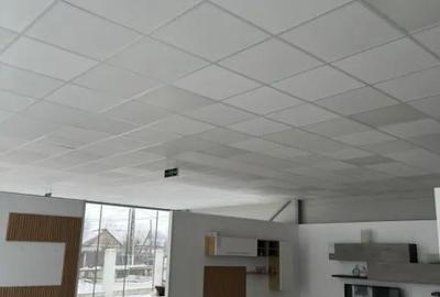 Spațiu comercial, de 460 mp, în Giubega - 5