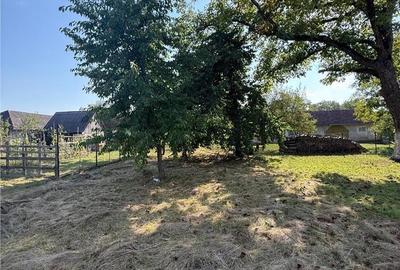 Apartament cu 4 camere în Săliște - 13