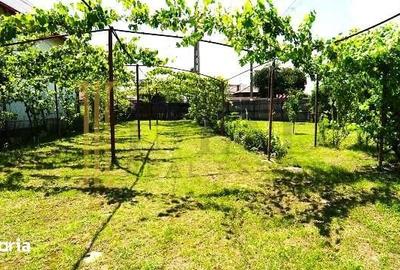Casă cu 3 camere cu Teren 800 Mp în Șotânga - 4