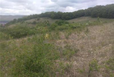 Teren extravilan 3640 mp Strada Stejarului - 9