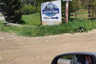 Vand teren 7800mp din care 3000 intravilan si 3800 mp padure - 3