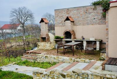Casă individuală cu 4 camere cu Teren 834 Mp în Gruia - 7