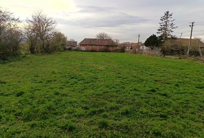 Casă cu 2 camere în Central - 1