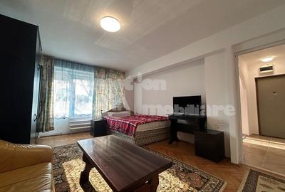Apartament cu o camera parter, renovat, Dimitrie Cantemir - 5