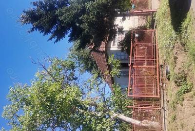 Casa de vanzare Viile Satu Mare - 5